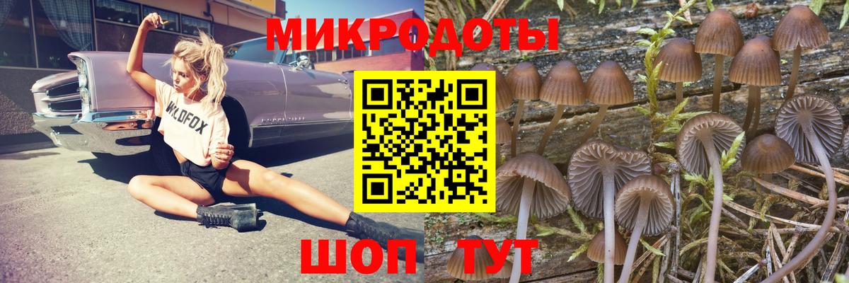 Чусовой  Псилоцибиновые грибы Psilocybe  Вход с VPN  Псилоцибиновые грибы ЛСД 